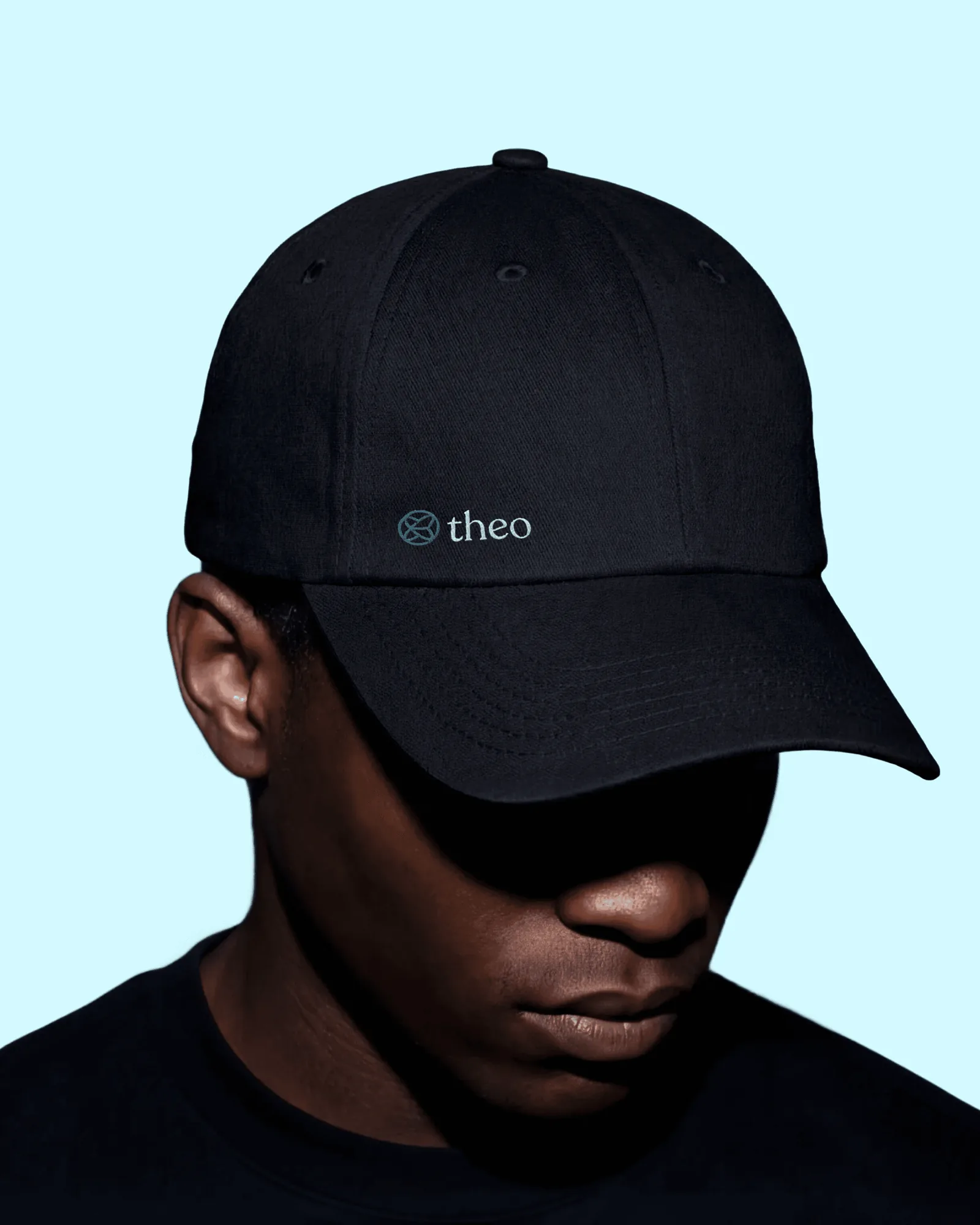 Theo brand guidelines